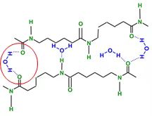 尼龙6和尼龙66的吸水科学知识(图4)